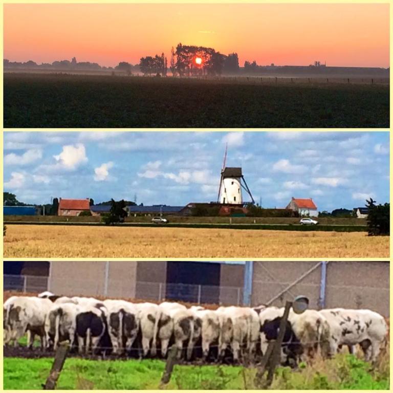 B&B Col Del Vino Wevelgem Zewnętrze zdjęcie